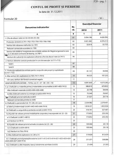 Bilant Contabil F Activitatea Goscom