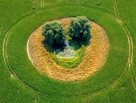 Duckow Von Oben Baum Insel Auf Einem Gr Nen Feld In Duckow Im