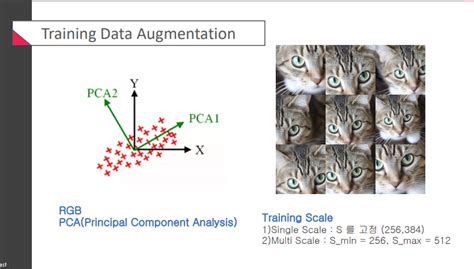 Image Classification VGG ResNet