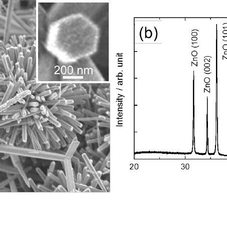 A Fe Sem Image And B Xrd Pattern Of Precipitated Powder For Source