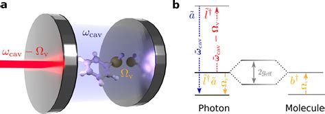 A Path Towards Single Molecule Vibrational Strong Coupling In A Fabry