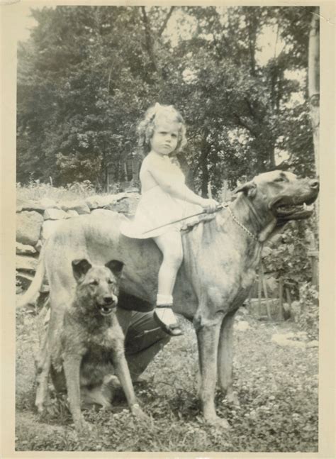 Giddyup The Two Dogs Look Happier Than The Little Girl Suzanne