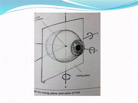 Anatomy Of Extraocular Muscles And Ocular Motility Ppt