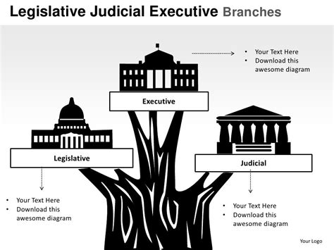 Legislative judicial executive branches powerpoint presentation templates