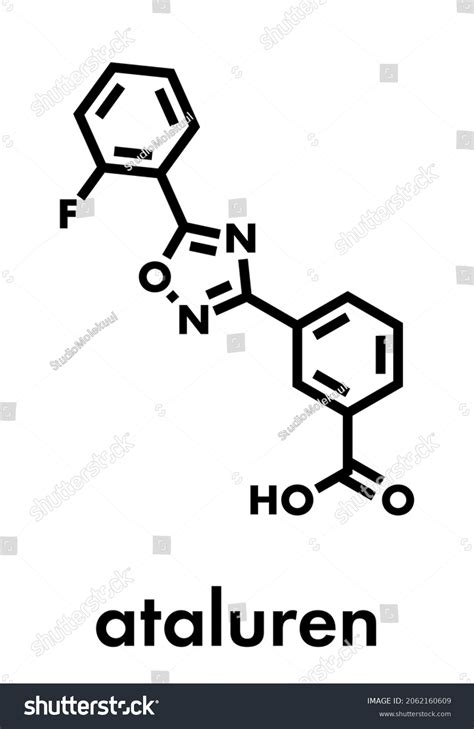 Ataluren Genetic Disorder Drug Investigated Treatment Stock Vector ...
