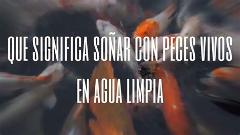 El significado de soñar con agua clara y peces abundantes desvelado