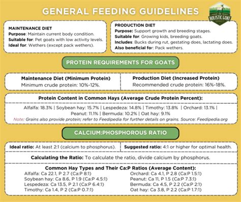 General Feeding Guidelines for Goats – The Holistic Goat