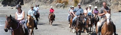 Horse Riding Treks Bay Of Islands And School Pony Camps