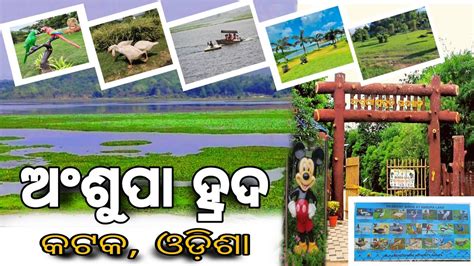 ଅଶପ ହରଦ Ansupa Lake Largest fresh water Lake of odisha odisha