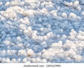 Result Freezing Rain Stock Photo 1345147895 | Shutterstock