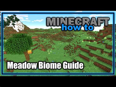 Meadow biome in Minecraft 1.18 update: All you need to know