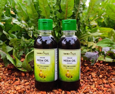 Organic Cold Compressed Pure Neem Oil Water Soluble Pack Of