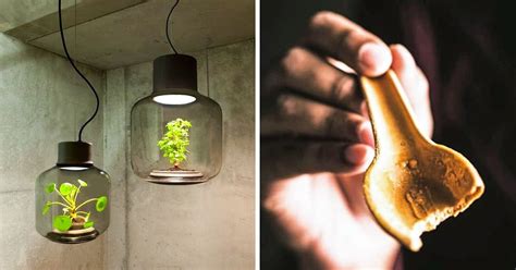 10 Sustainable Inventions That Are Already Helping To Save The Planet