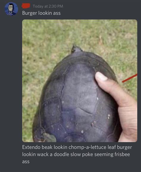 Burger Lookin Ass R Memes