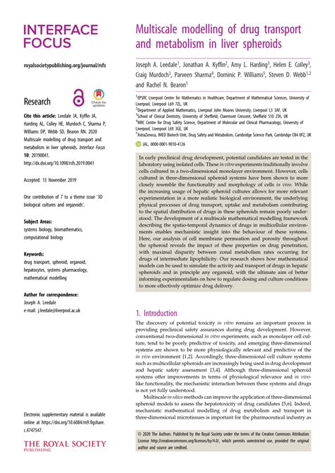 PDF Multiscale Modelling Of Drug Transport And Metabolism In Liver