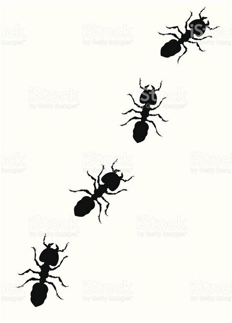 An Illustration Of Our Crawling Ants Vector Silhouette Art Modern