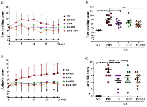 Development Of A Collagen Induced Arthritis Cia Mouse Model And Its