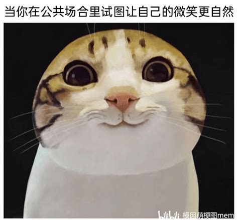 Meme梗图：久违的深蹲训练之后 哔哩哔哩