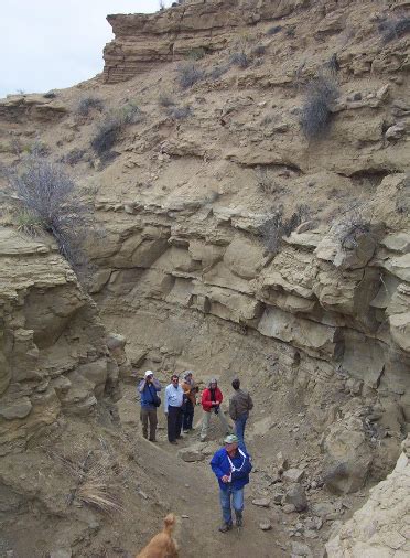 Earth Science In The News Fossil Friday Rock And Gem Magazine