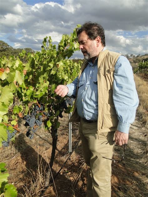 Michel Chapoutier La Marca Francesa De Vinos M S Admirada Del Mundo