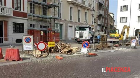 Abbattuti Alberi Storici In Piazza Caduti Morganti E Brauner Non