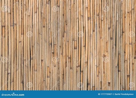 Old Brown Bamboo Background Wall Of Bamboo Rural Rustic Background