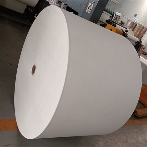 Disposable Cup Paper PLA Coated Paper Roll PLA Coated Paper And White