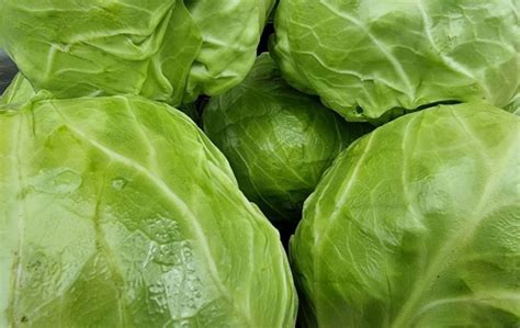 Вкусный салат из капусты на скорую руку: секрет в заправке : новости ...