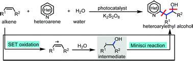 Visible Light Mediated Three Component Minisci Reaction For