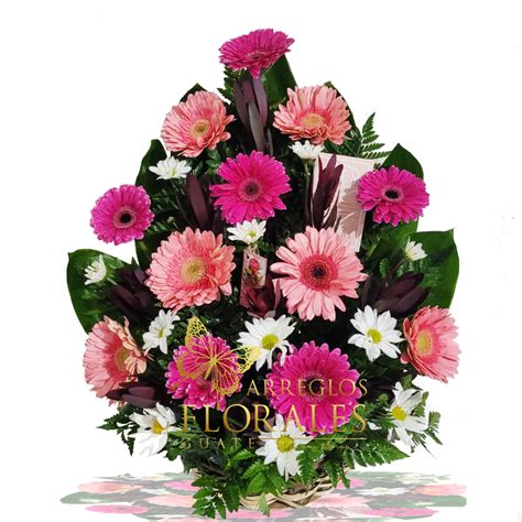 Gerbera Triangular Arreglos Florales Guate