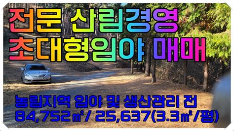 함안땅 함안임야 23 001 경남 함안군 군북면 대형 임야 매매산림경영및 임업용 산지 활용 대형 임야 매매 Youtube