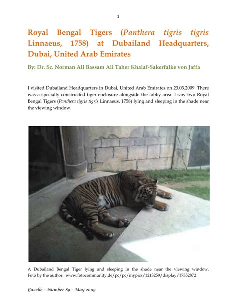 PDF Royal Bengal Tigers Panthera Tigris Tigris Linnaeus 1758 At