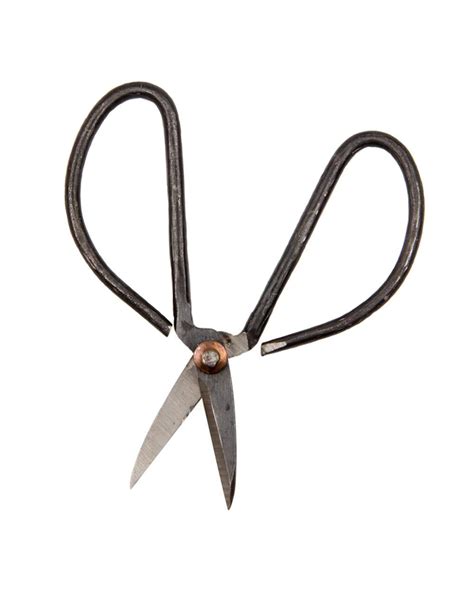 Edward Small Hand Clippers Kennedys Country Gardens Garden Center