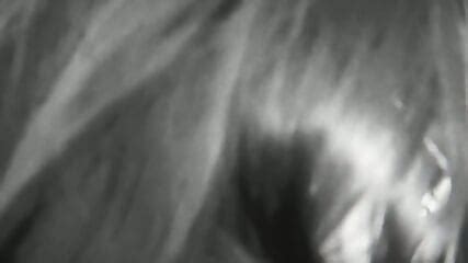 Female Officer Likes Humping Ass Before Booking Ass