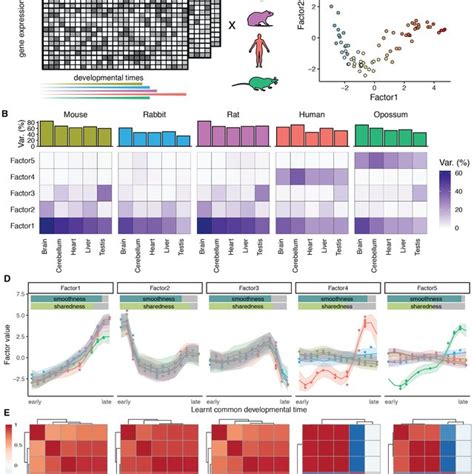 Application to spatial transcriptomics data. (A) Recovered factor ...