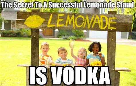 Successful Lemonade Stall