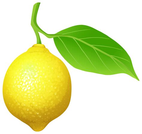 Lemon PNG Clip Art