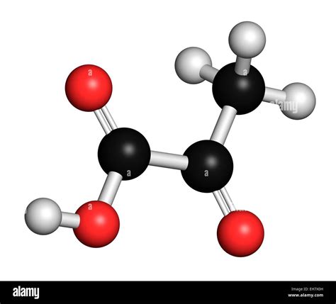 Ácido pirúvico (piruvato) molécula Fotografía de stock - Alamy