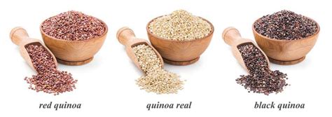 Quinoa Propiedades Y Beneficios C Mo Prepararla