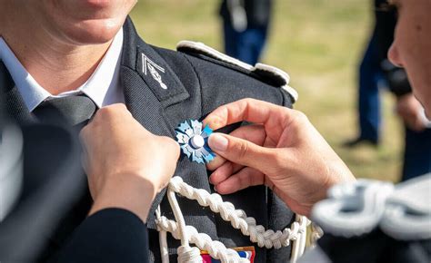 D Fil Du Juillet Le Bleuet De France Sur Les Champs Lys Es Fncv