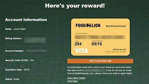 How To Use Your Food Lion School Of Champions Visa Credits