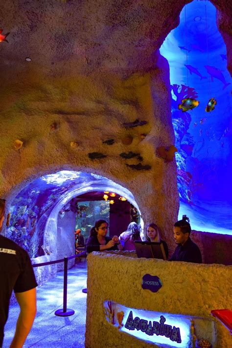 Aquarium An Underwater Dining Adventure In Nashville