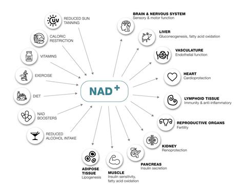 how to get nad