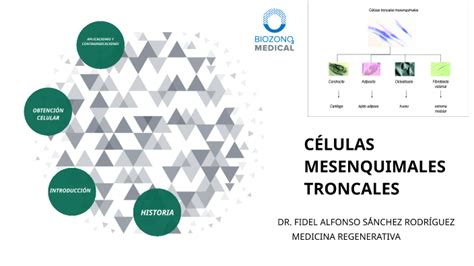 CELULAS MESENQUIMALES TRONCALES by Fidel Sanchez rodriguez on Prezi