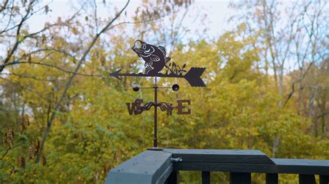 Highland Dunes Pina Bass Fish Weathervane & Reviews | Wayfair