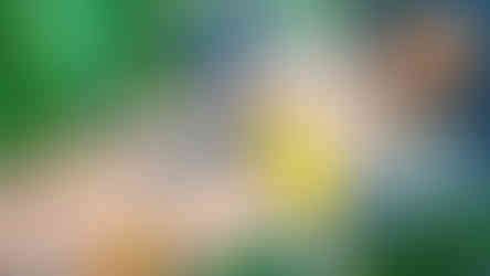 Deedlitz Bikini Pack CBBE UUNP SE