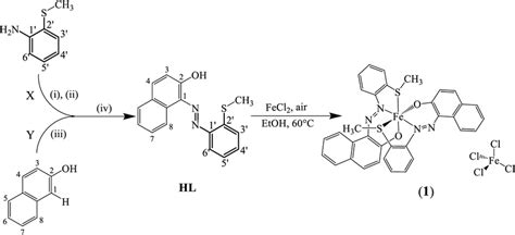 Synthesis Of The Iron Complex 1 Of The Ligand Hl I Conc H2so4 Download Scientific Diagram