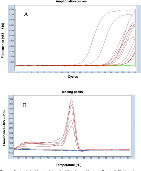 Figure 1 From Real Time Polymerase Chain Reaction Pcr Detection Of Trichomonas Vaginalis From