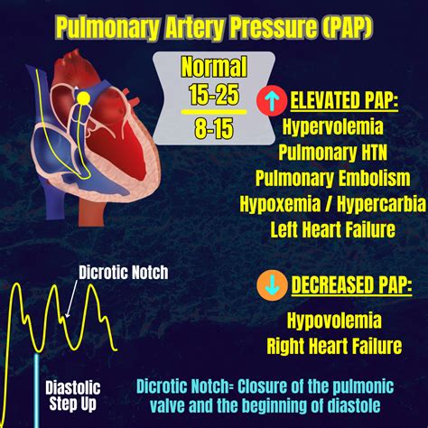 Advanced Hemodynamics SCOPE