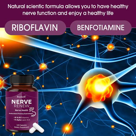 Nerve Regen Formula For Nerve Pain Relief Nerve Renew For Neuropathy